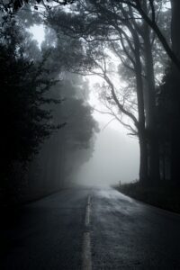 This is a picture of a tree covered in fog that reflects the theme of darkness in the poem, What Do You Name It. 