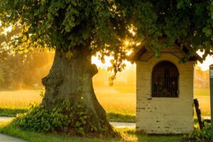 This is a picture of a house under a tree which highlights the theme of the nature in the poem, ona dusky june. 