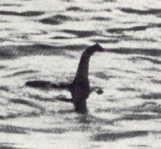 There's a picture of a creature coming out of water that is known as Loch Ness monster. 