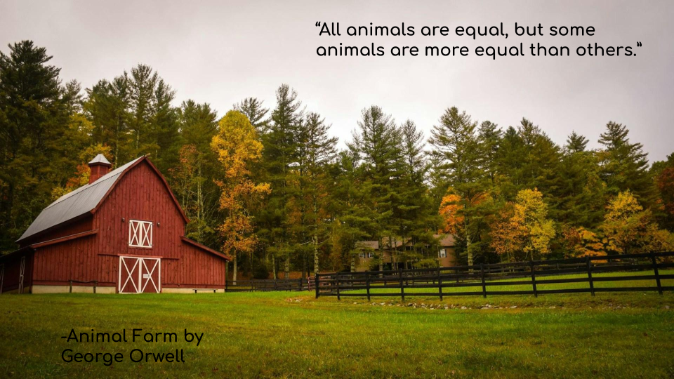 This is a picture with one of Animal farm quotes, “All animals are equal, but some animals are more equal than others.” 