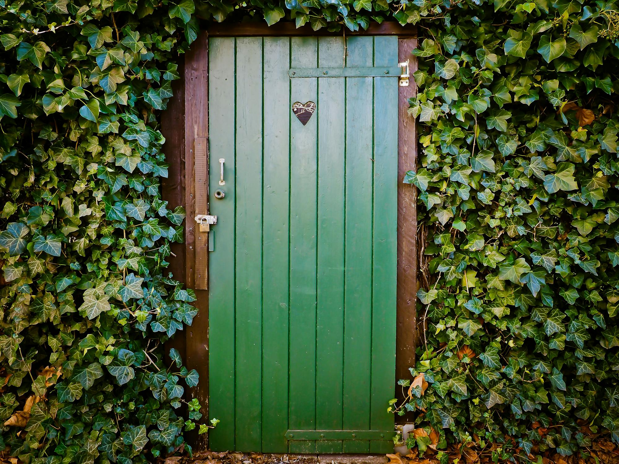 There is a picture of a door covered in grass that show the theme of imagination in The Ten Thousand Doors of January Quotes.